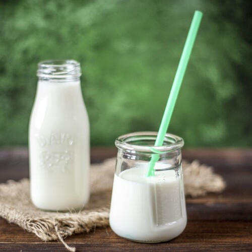 Edlong Natural Milk powder Creamy Flavour – Sweet, creamy milk flavor for bakery products, beverages, and pudding. Water and oil soluble, FDA-approved.